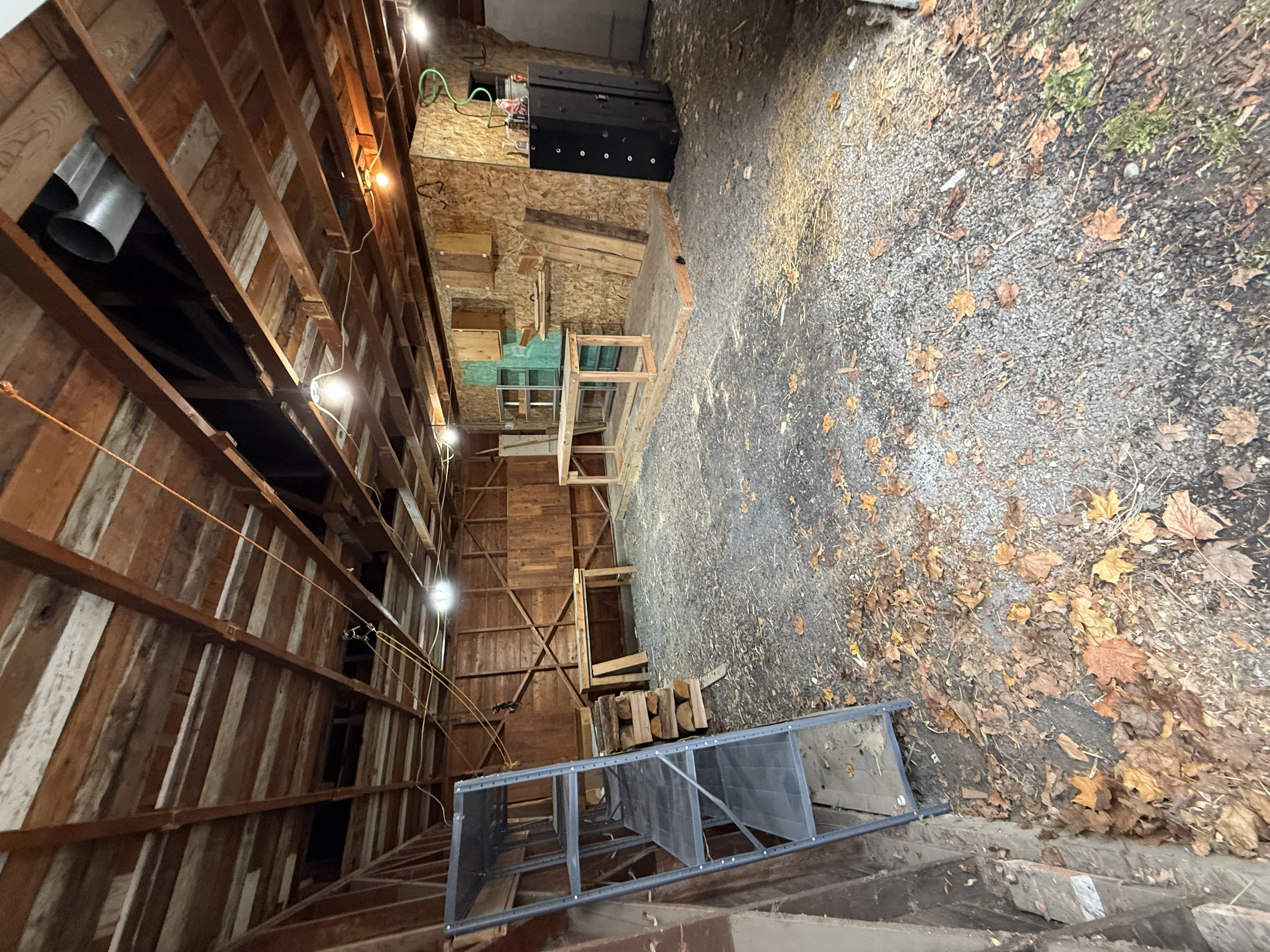 Clean garage after junk removal