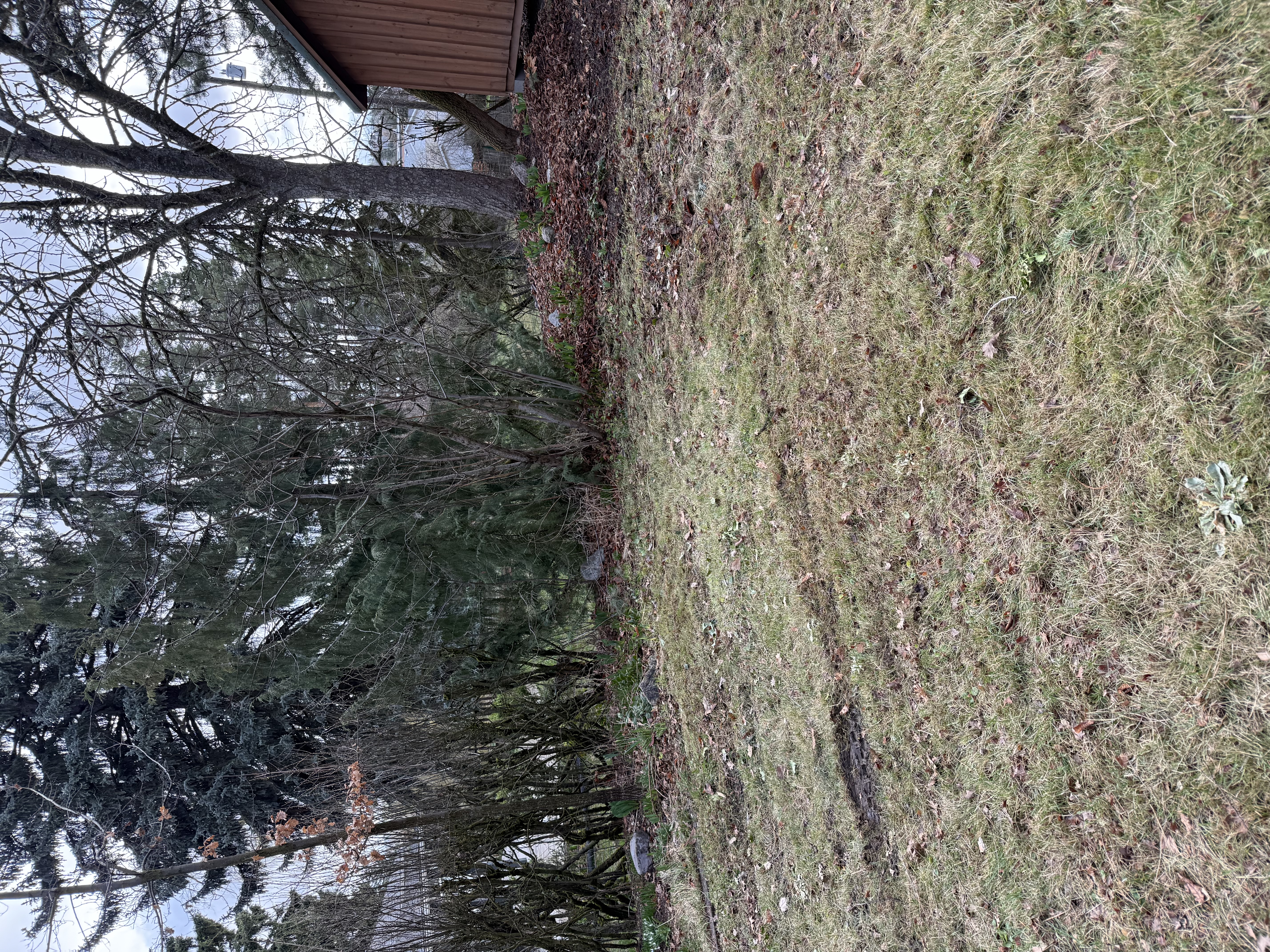 Cleared space after appliance removal