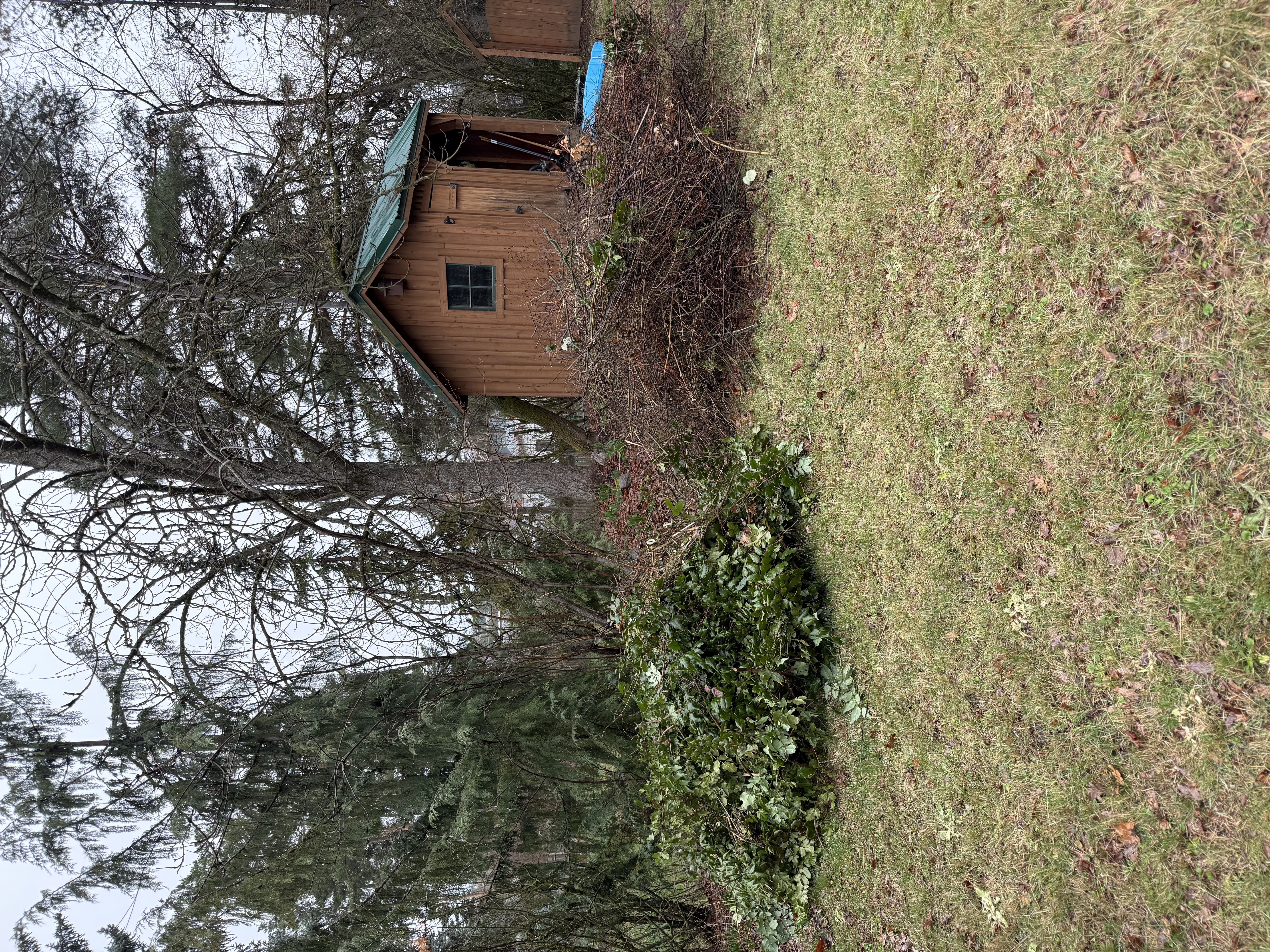 Old appliances and debris before removal